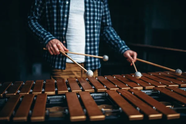 Xylophone Player Sticks Hands Musical Percussion Instrument Vibraphone — Stock Photo, Image