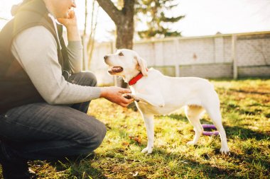 açık eğitim eğitimli çalışma köpekle erkek cynologist
