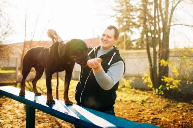 Bahçesi köpek mutlu cynologist eğitim koklama