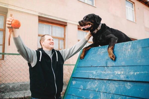 Erkek Cynologist Eğitim Çalışan Köpek Oyun Üzerinde — Stok fotoğraf