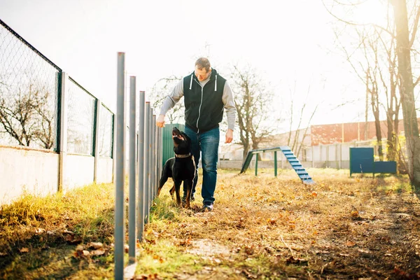 cynologist training sniffing dog at playground