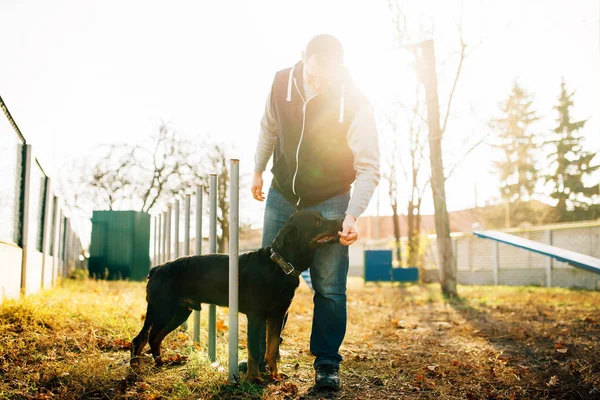 Cynologist 训练嗅探犬在操场 — 图库照片