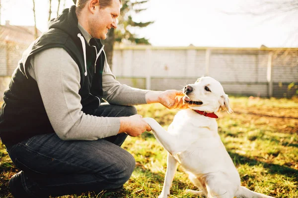 Cinólogo Masculino Con Perro Trabajo Entrenado Entrenamiento Aire Libre —  Fotos de Stock