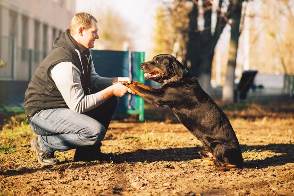サービス犬 屋外の訓練で男性の Cynologist — ストック写真
