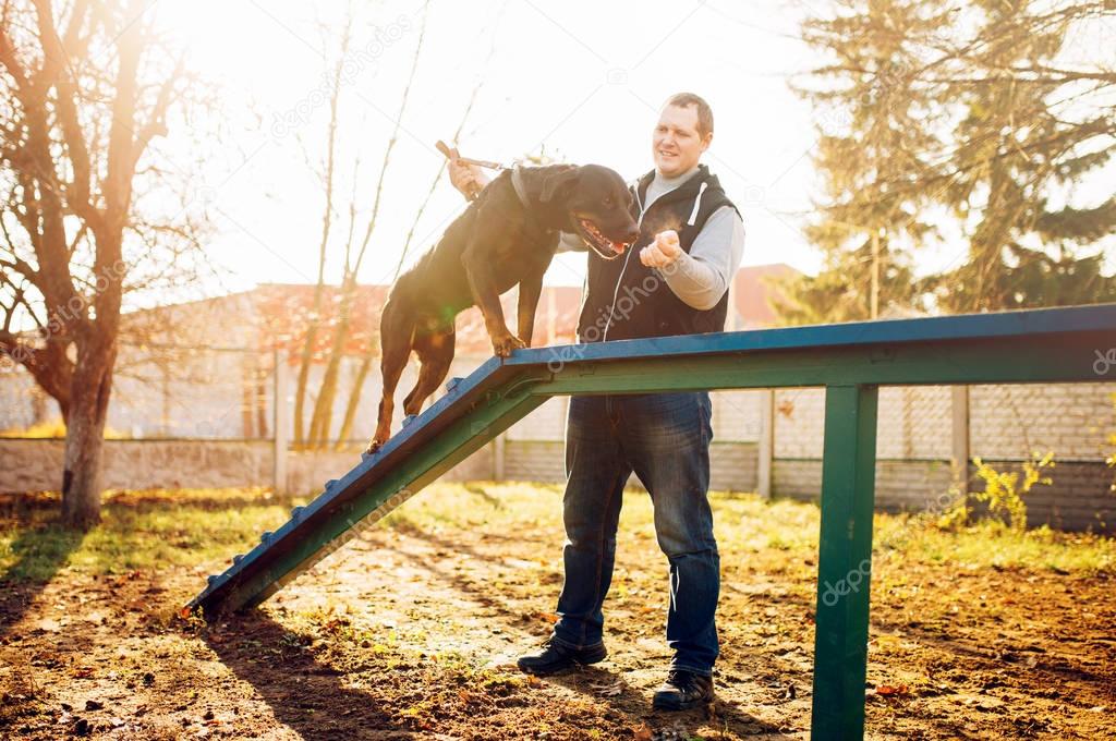 cynologist training dog to keep balance on playground