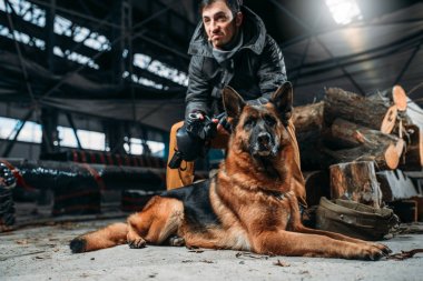 STALKER ve köpek, kıyamet sonrası dünyada. Kıyameti yaşam kalıntıları, kıyamet kavramı üzerinde