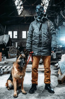 STALKER gaz maskesi ve köpek, dünyada kıyamet sonrası arkadaşlar içinde. Kıyameti yaşam kalıntıları, kıyamet kavramı üzerinde
