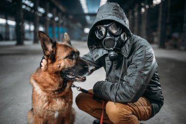 STALKER gaz maskesi ve köpek, dünyada kıyamet sonrası arkadaşlar içinde. Kıyameti yaşam kalıntıları, kıyamet kavramı üzerinde