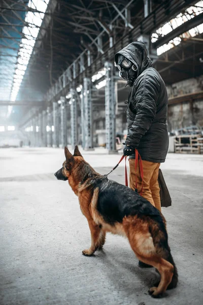 Stalker Gasmask Och Hund Vänner Post Apokalyptisk Världen Efter Apocalypse — Stockfoto