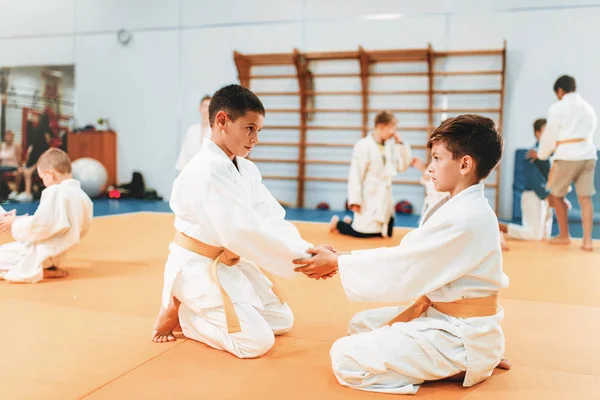 Meninos Quimono Praticando Arte Marcial Ginásio Esporte — Fotografia de Stock
