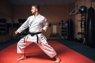 siyah kemer, karate salonunda eğitim ile beyaz kimono dövüşçü