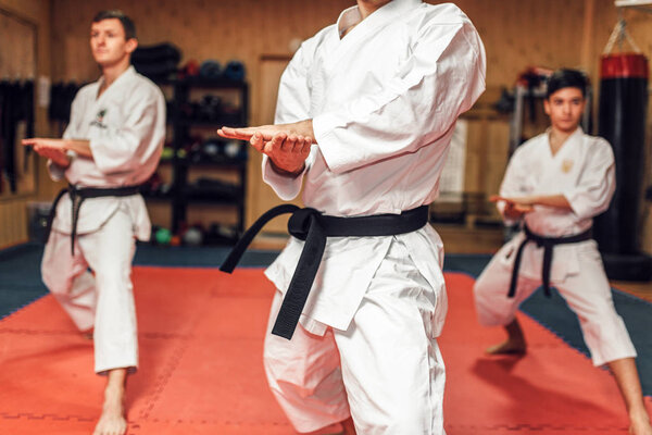 Martial arts karate master and disciples in white uniform and black belts, fight training in gym