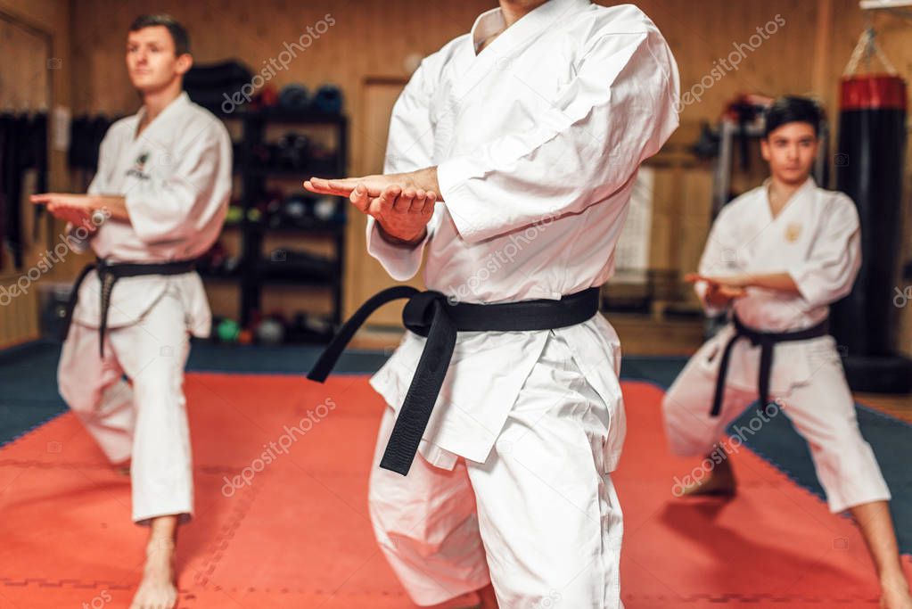 Martial arts karate master and disciples in white uniform and black belts, fight training in gym