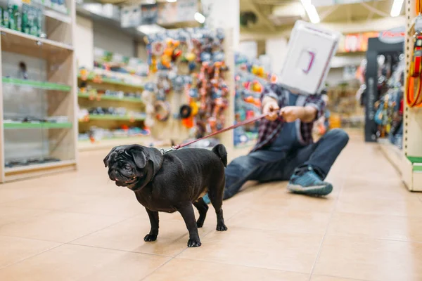 Uomo Con Portatore Sulla Testa Cercando Fermare Cane Carlino Pazzo — Foto Stock