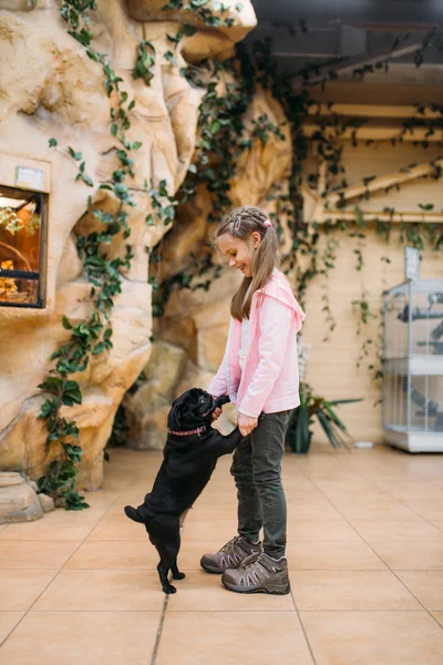 Niña Jugando Con Divertido Cachorro Tienda Mascotas Amistad — Foto de Stock