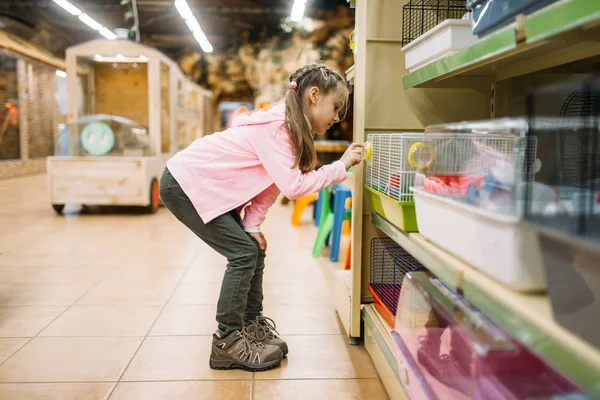 小さな女の子がペット ショップでハムスターと遊んで — ストック写真