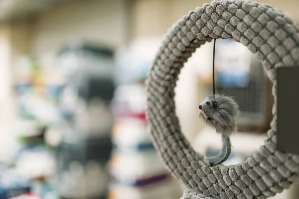 Loja Animais Anel Com Fechamento Mouse Acessórios Para Gatos — Fotografia de Stock