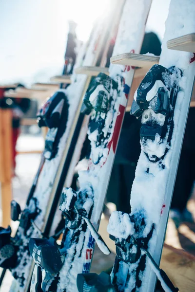 Row Snowboards Closeup Winter Extreme Sport Concept Snowboarding Equipment — Stock Photo, Image