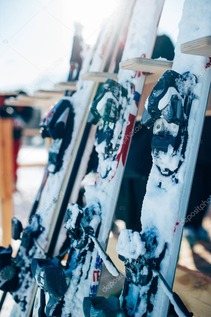 Row of snowboards closeup. Winter extreme sport concept. Snowboarding equipment