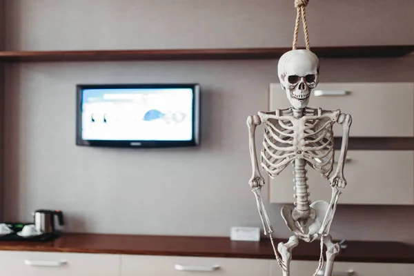 Esqueleto Humano Engraçado Está Pendurado Forca Fundo Humor Piada — Fotografia de Stock