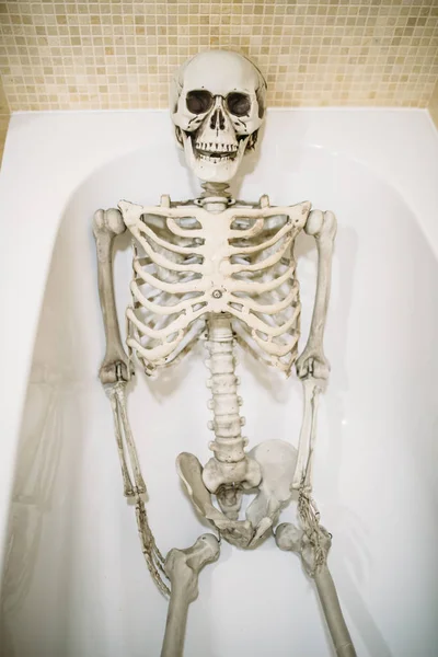 Divertido Esqueleto Humano Yace Baño Sin Agua Concepto Humor Broma — Foto de Stock