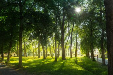 Yazın eski Avrupa kasabasındaki yeşil park. Yaz turizmi ve seyahatleri, ünlü Avrupa tarihi yerleri, turistler için popüler yerler