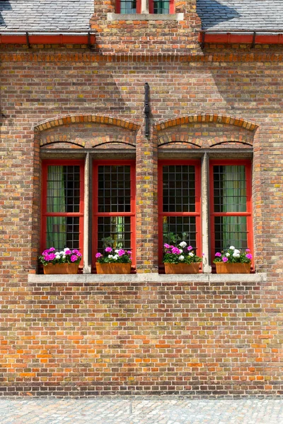 Penceresinde Çiçek Yatağı Olan Antik Bina Cephesi Eski Avrupa Kasabası — Stok fotoğraf