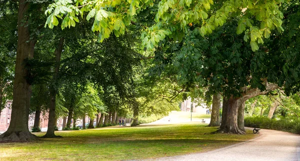 Park Met Geknipt Gras Oude Europese Stad Zomer Toerisme Reizen — Stockfoto