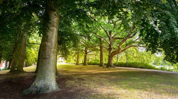 Parque Com Grama Cortada Antiga Cidade Europeia Turismo Verão Viagens — Fotografia de Stock