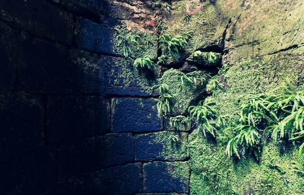 Old castle ruins, ancient stone building, walls are covered with moss, Europe. Traditional european architecture, famous places for tourism and travel 