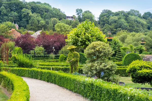 Krzewy Różnych Kształtach Letni Park Europie Profesjonalne Ogrodnictwo Europejski Zielony — Zdjęcie stockowe