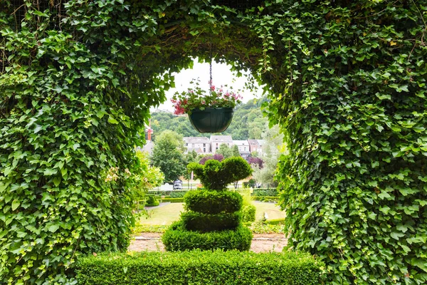 Különböző Formájú Bokrok Európai Nyári Park Szakmai Kertészkedés Európai Zöld — Stock Fotó