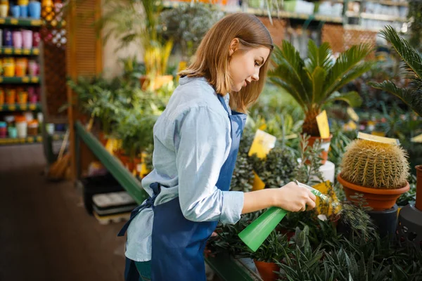 Female Gardener Apron Takes Care Plants Shop Gardening Woman Sells — Stock Photo, Image
