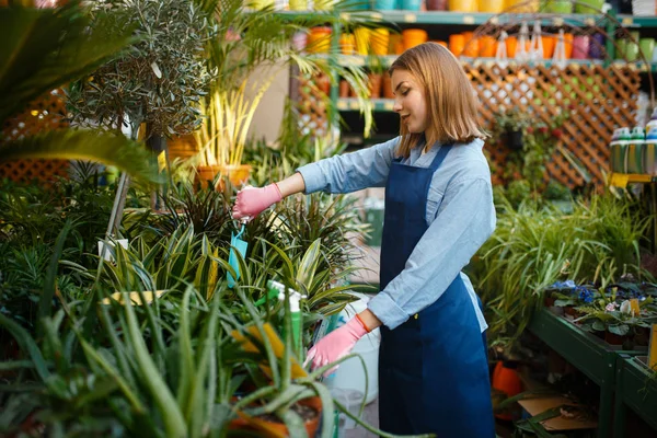 Female Gardener Shovel Takes Care Plants Shop Gardening Woman Apron — Stock Photo, Image