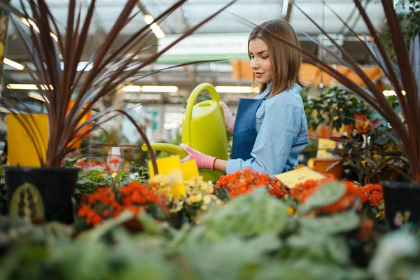 Female Seller Watering Plants Shop Gardening Woman Apron Sells Flowers — Stock Photo, Image