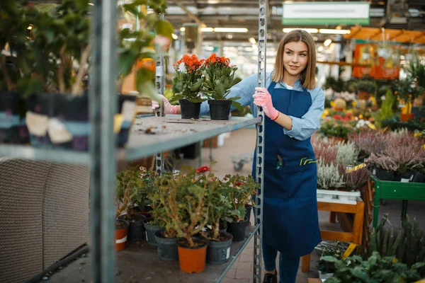 Female Gardener Gloves Apron Home Flowers Sale Shop Gardening Woman — Stock Photo, Image