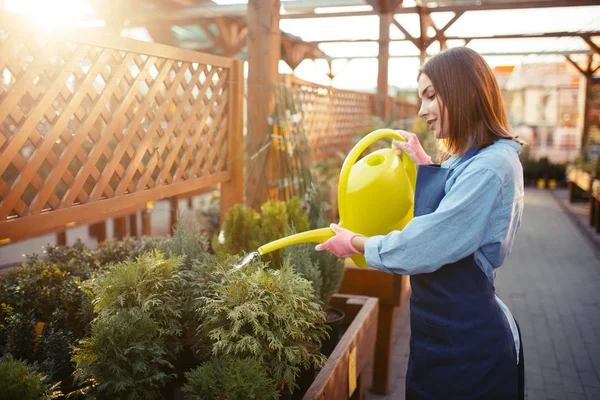 Saleswoman Watering Can Shop Gardening Woman Apron Sells Flowers Florist — Stock Photo, Image