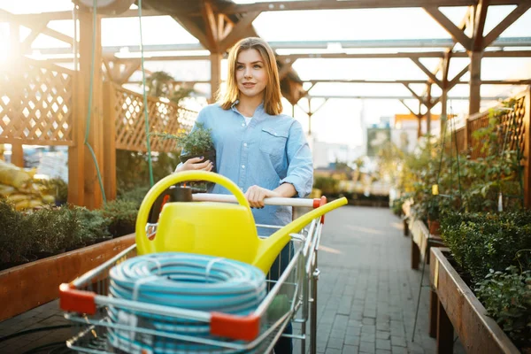 Cliente Femenino Que Compra Herramientas Jardinería Tienda Floristería Mujer Que —  Fotos de Stock