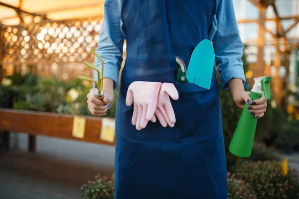 Female Seller Apron Holds Gardening Tools Shop Floriculture Woman Apron — Stock Photo, Image