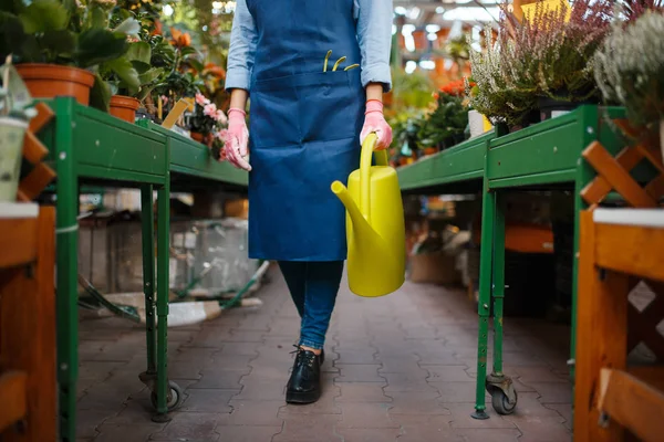 Female seller with watering can takes care of plants in shop for gardening. Woman in apron sells flowers in florist store — Stock Image Female Seller Watering Can Takes Care Plants Shop Gardening Woman Royalty Free Stock Photos