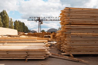 Kereste fabrikası deposunda yığınla tahta var, kimse yok, kereste endüstrisi, marangozluk. Fabrikada ahşap işleme, kereste deposunda orman testeresi, kereste fabrikası.