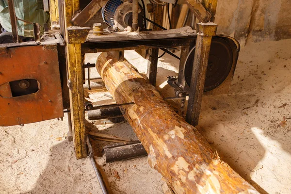 Fafeldolgozó Gép Senki Faipar Ácsipar Fafeldolgozás Gyárban Erdőfűrészelés Fatelepen Favágás — Stock Fotó