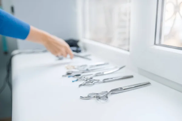 Female Groomer Professional Grooming Tools Woman Takes Tools Pet Washing — Stock Photo, Image