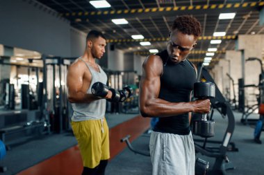 Spor salonunda iki kaslı sporcu, halterleriyle egzersiz yapıyor. Spor kulübünde egzersiz, sağlıklı bir yaşam tarzı.