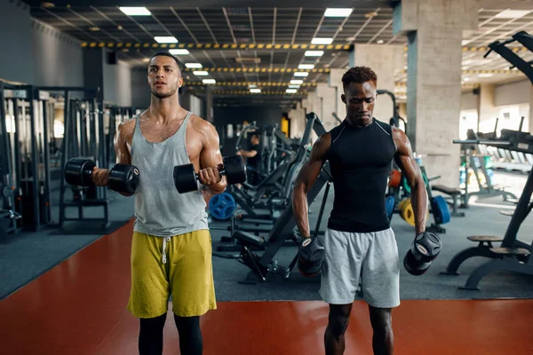 两名肌肉发达的男子带着哑铃在体育馆锻炼 在体育俱乐部锻炼 健康的生活方式 — 图库照片