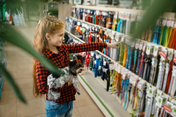Niña Eligiendo Correa Collar Para Cachorro Tienda Mascotas Equipo Compra — Foto de Stock