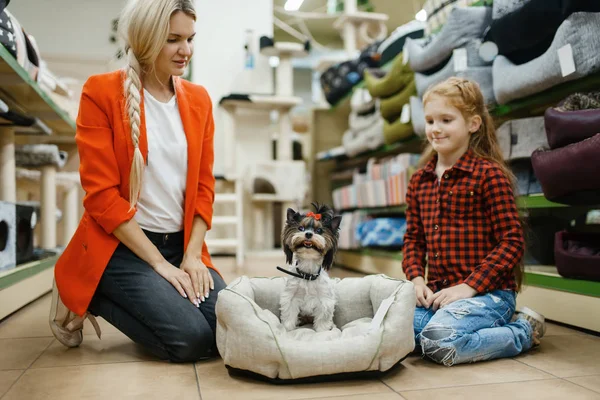 Mãe Com Filha Escolhendo Cama Cachorro Para Cãozinho Loja Animais — Fotografia de Stock