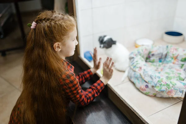 Little Girl Looking Puppy Dog House Pet Store Child Buying — Stock Photo, Image