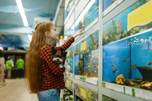 Meisje Met Puppy Zoek Naar Vissen Aquarium Dierenwinkel Kinderspullen Kopen — Stockfoto