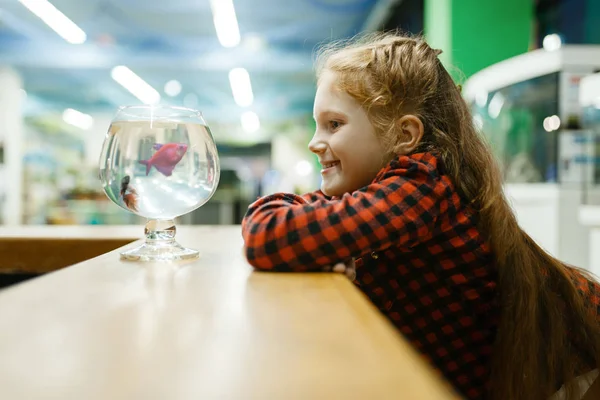 Dziewczynka Spogląda Różową Rybę Szkle Sklep Zoologiczny Sprzęt Dziecięcy Sklepie — Zdjęcie stockowe